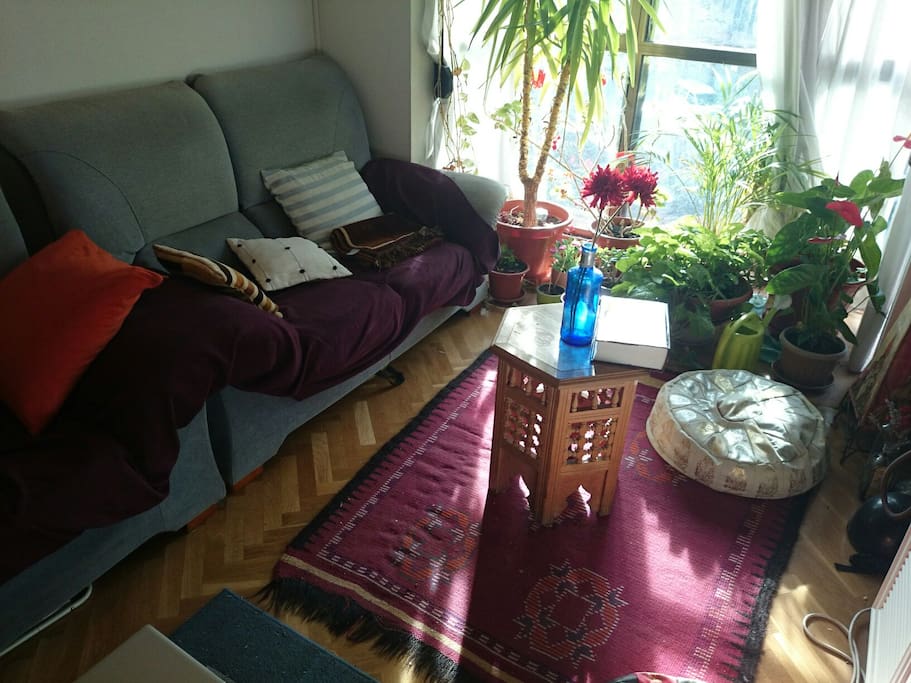 Sitting room - Salón