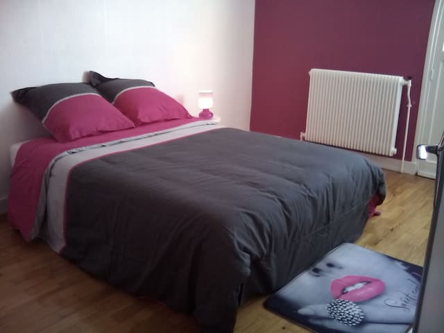 Chambre dans appartement en coloc Roanne gare