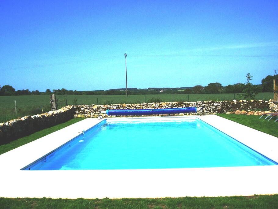 The shared pool