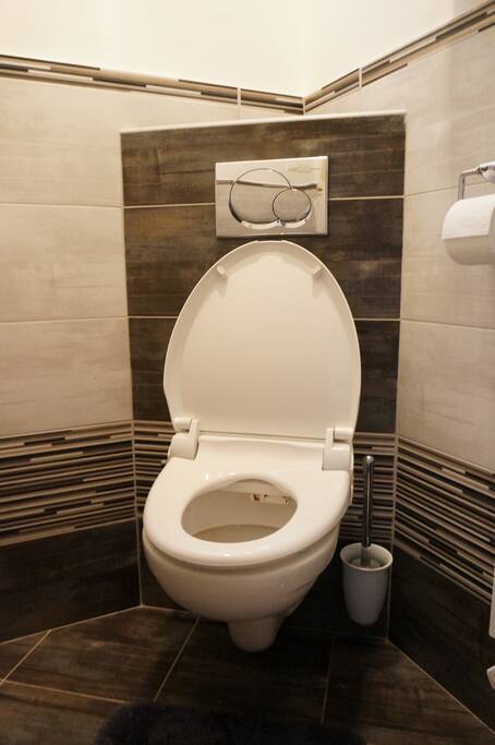 toilet