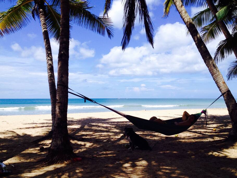 Playa Grande, Las Palmeras