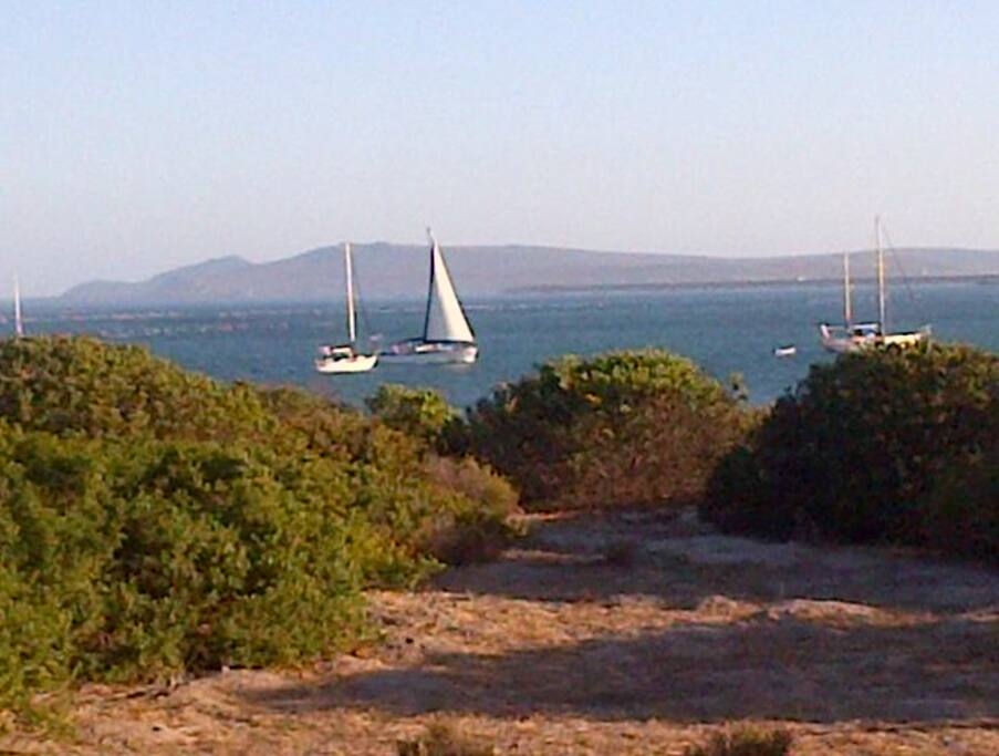 View from main window