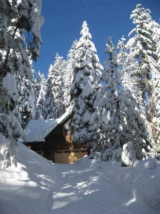Winter at Hale Mauna.