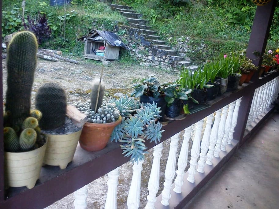 The balcony