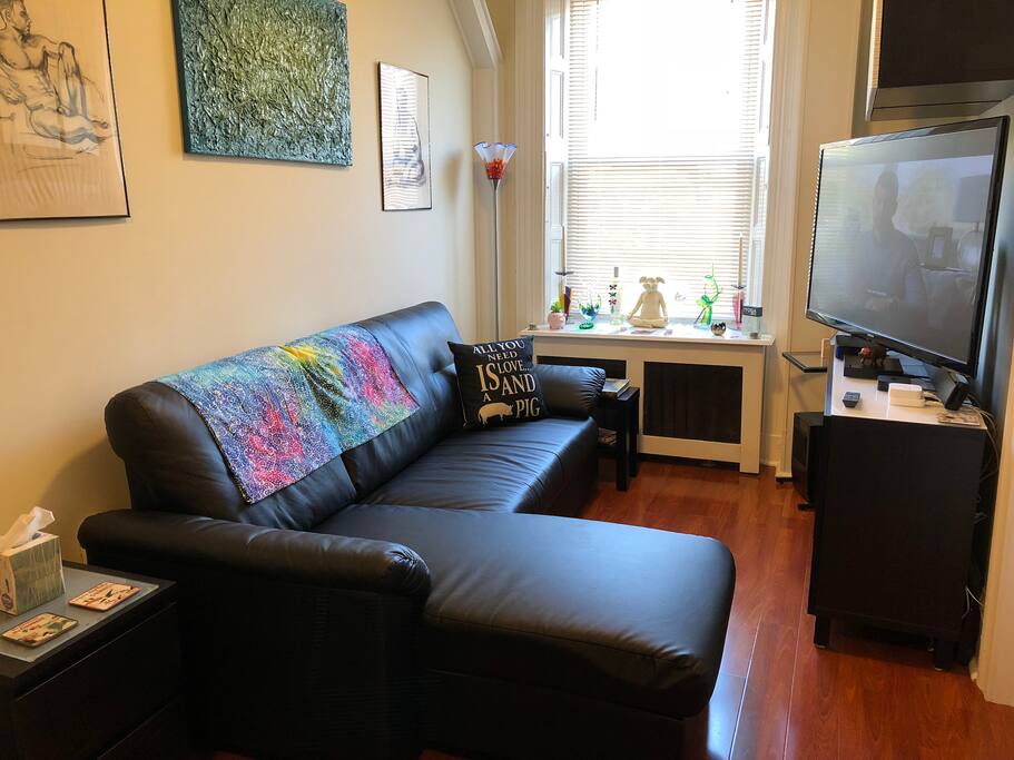 Relax and watch TV on my comfy couch in the living room
