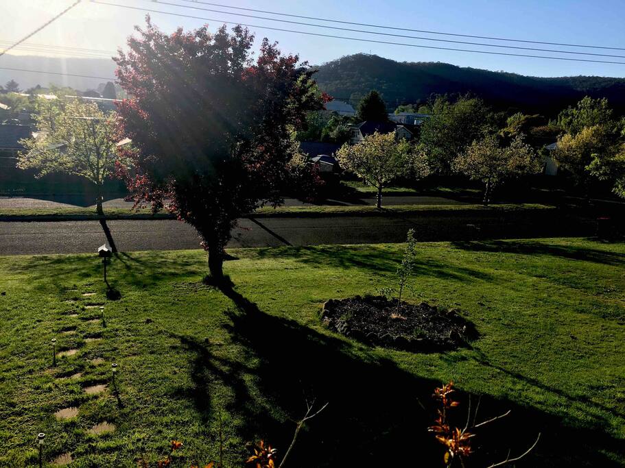 View from the front balcony