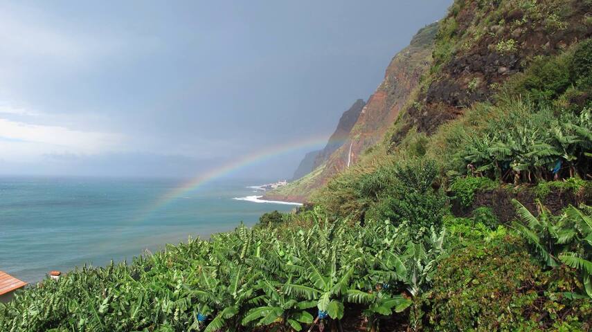 Slice of Heaven-Studio Supreme