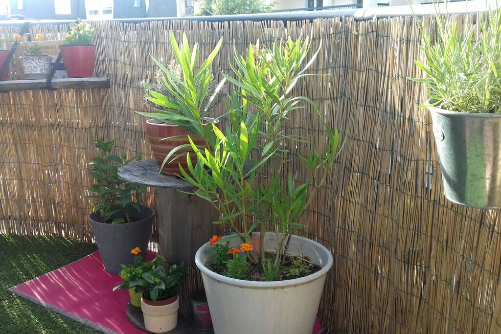 balcon fleuri