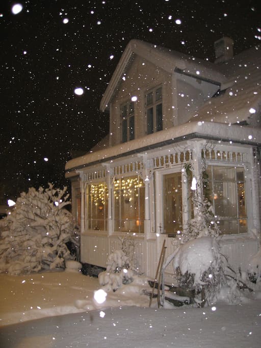 Winter...if snow