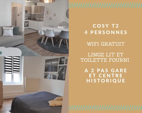 Cosy T2 38m2 - Centre-Ville Dijon - Gare et Darcy