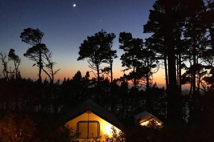 Mendocino Grove managed Airbnb listing 3