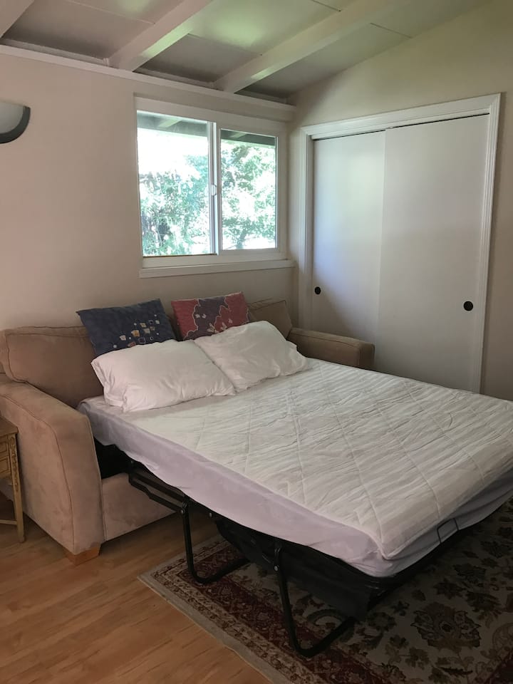 Rozkladacia pohovka veľkosti Queen v obývacej izbe