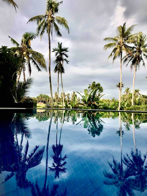 Villa In UBUD w/ Pool View  #1 by Villariz