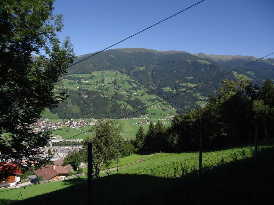 Ausblick