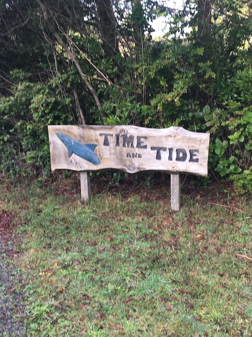 Where the time meets the tide