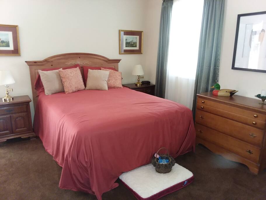 semi-firm new queen sized bed. Trundle bed available