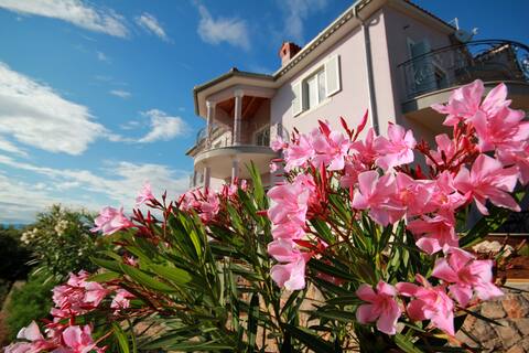 Top performing Airbnb: Villa Viola Apartment Oleander in Linardići