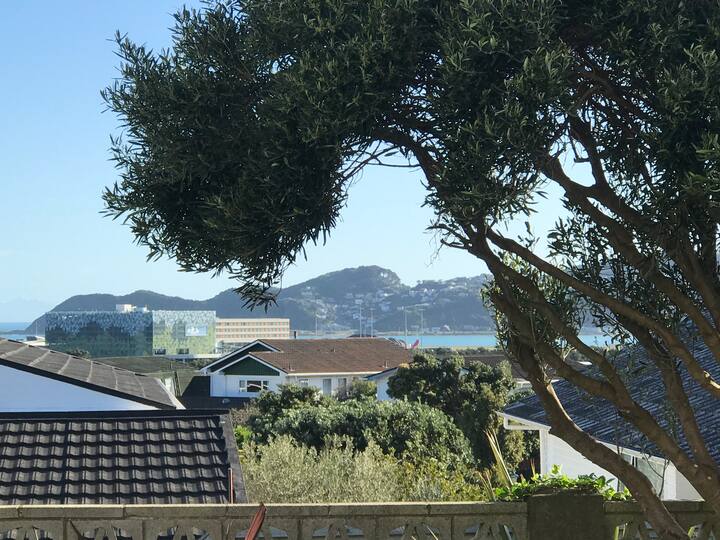 Top 10 ShortTerm Rentals In Wellington, New Zealand Trip101