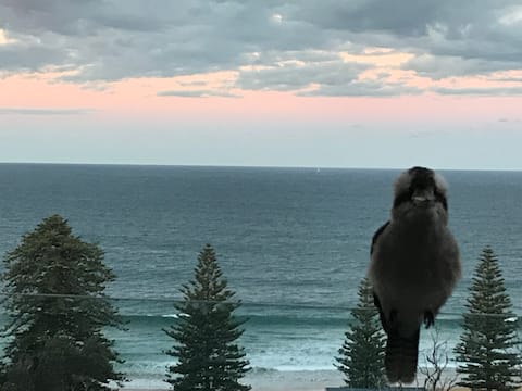 Blue Seas Avoca Beach