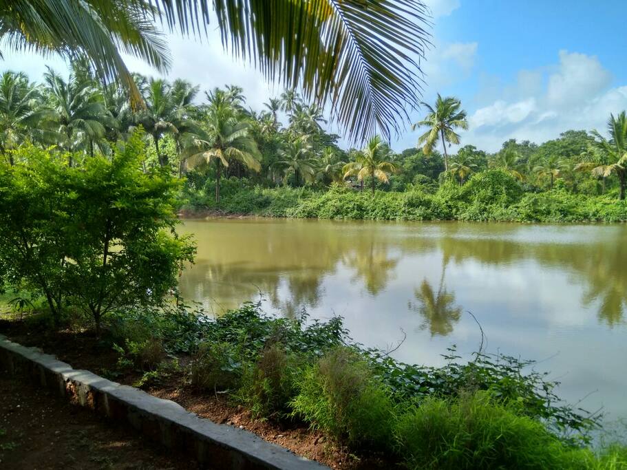 Lake view