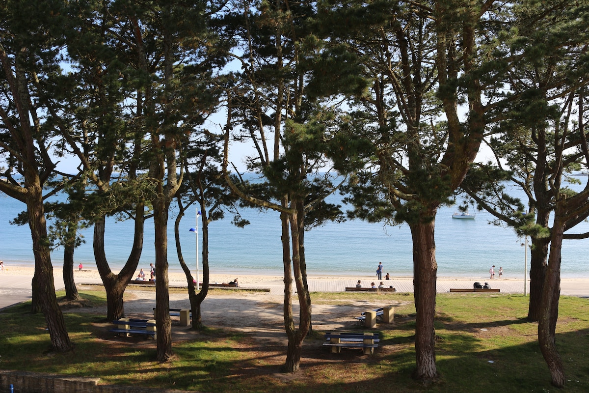 A serene beach scene is framed by tall trees. A sandy shoreline stretches in the background, where people can be seen enjoying the sun and water. Benches are positioned within the green grass, offering a place to relax and take in the ocean view.
