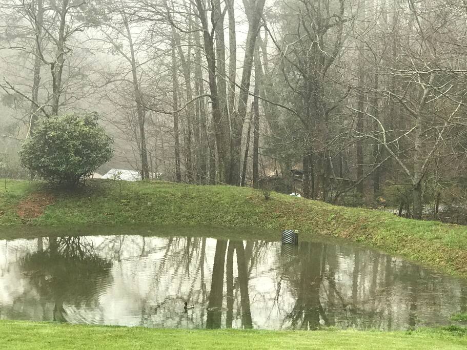 wetlands