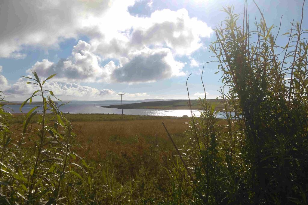 View from the cottage