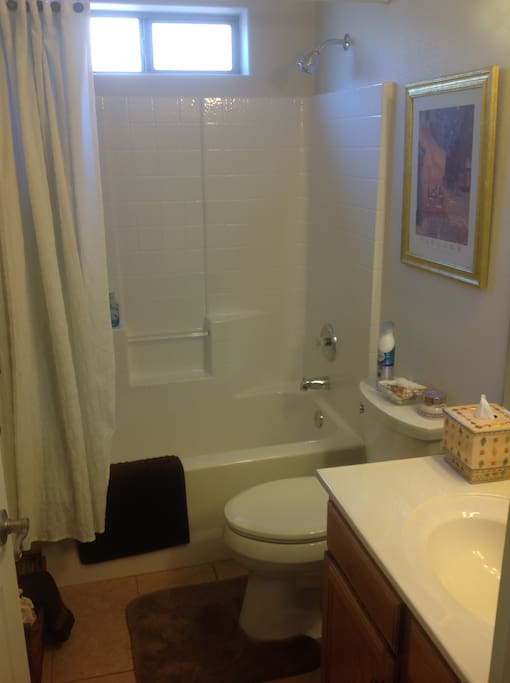 guest private bathroom