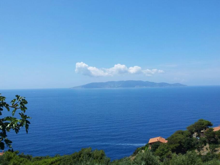 The breathtaking view from the front terrace