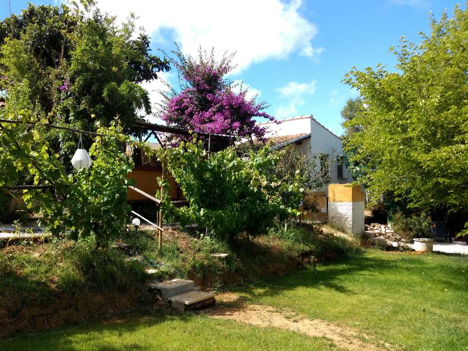 The garden awaits you just a couple of steps away.