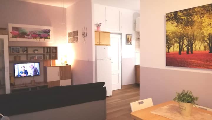 entero WiFi jardines fácil aparcamiento en la zona