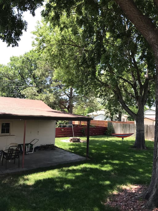 Backyard, plenty of shade from hackberry trees