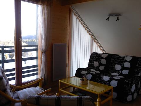 Top performing Airbnb: Chalet Hautes Vosges in Le Tholy