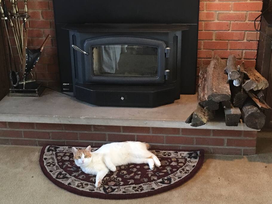 My cat nugget enjoying the fire place mat :)