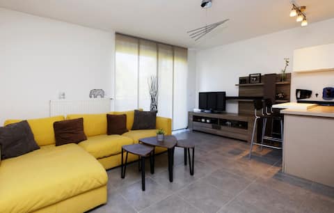 Apt + parking (nearby CHU, Micropolis and tram)
