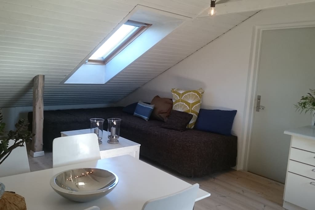 Indgang/køkken/stue/mulighed for 2 ekstra sovepladser