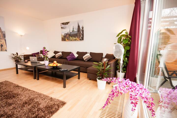 Wenceslas Square Loft B 3-Bedrooms (Old Town) gallery image 4
