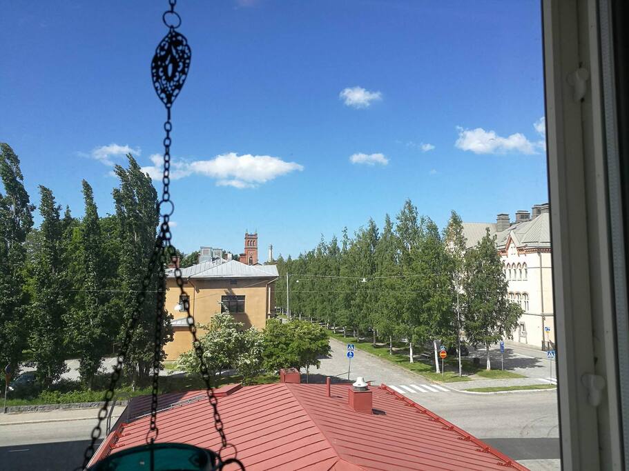 Window view