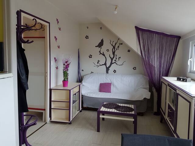 Airbnb Gouville Sur Mer Vacation Rentals Places To