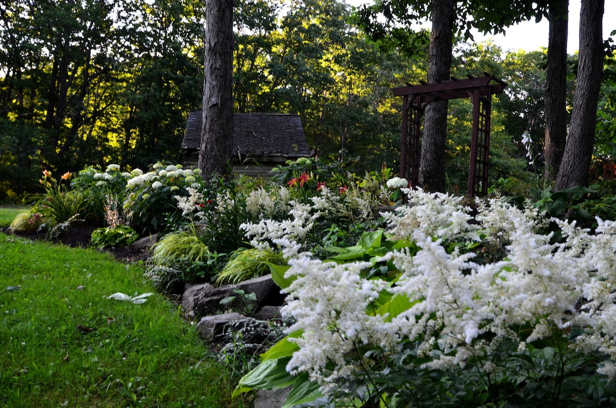 A lush garden scene is framed by two sturdy trees, with vibrant green grass underfoot. A variety of flowers and plants, including clusters of white blooms, create a colorful display. A wooden archway is visible in the background, adding an inviting touch to the natural landscape.