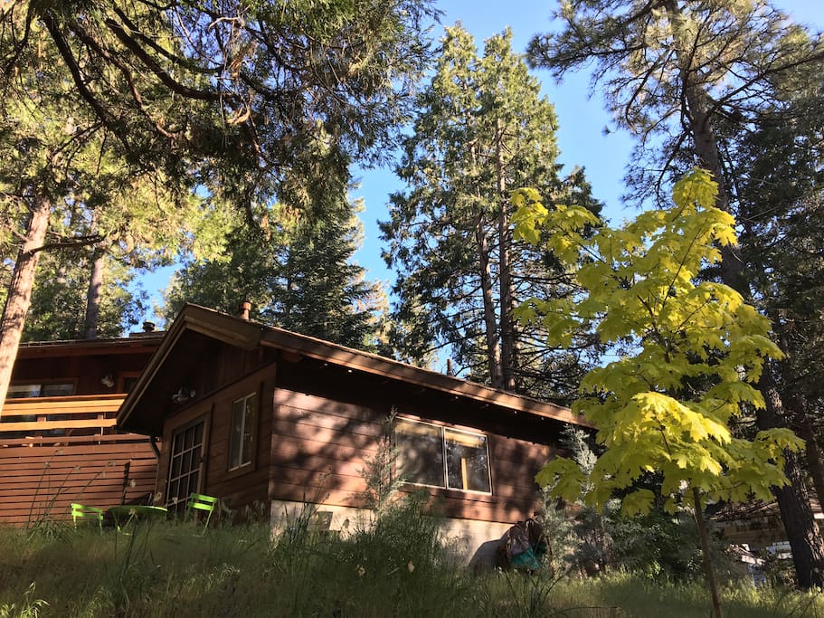 The side view of your cabin.