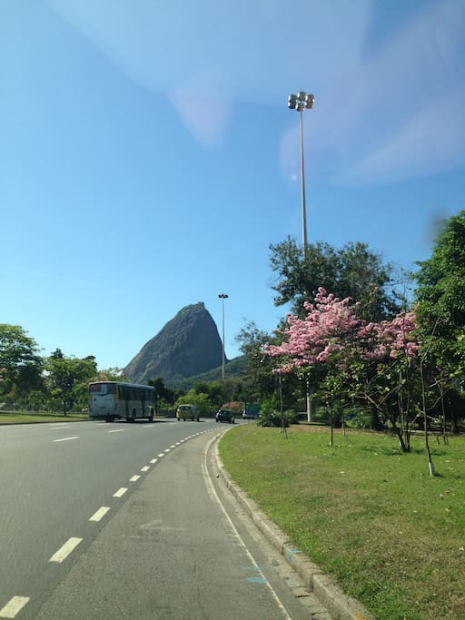 Parque do Flamengo