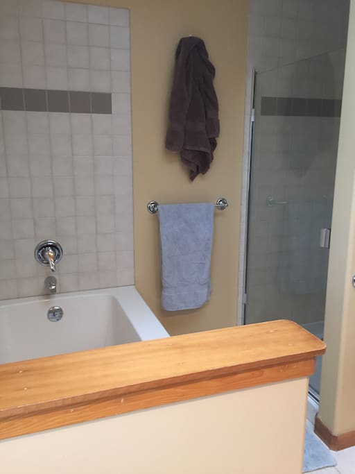 Master bath 5 piece
