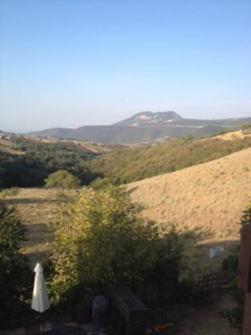 la vista