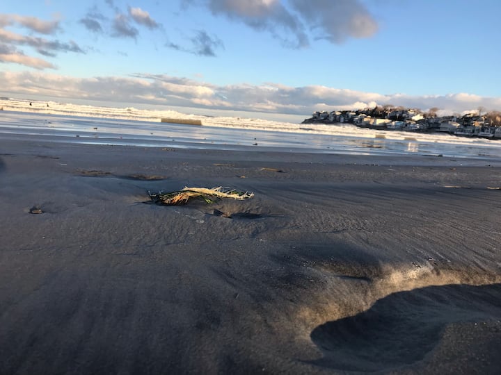 Nahant Vacation Rentals Airbnb