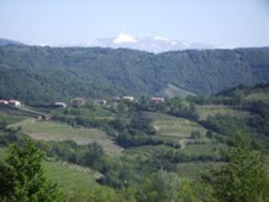 Vista del Collio