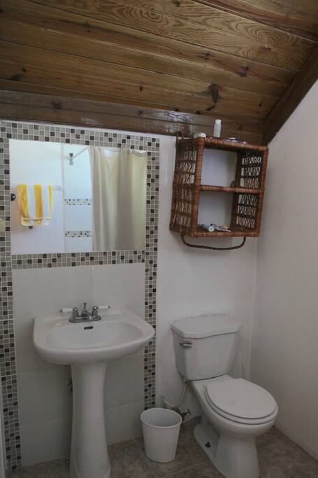 Bathroom - bright and airy! hot water shower.
