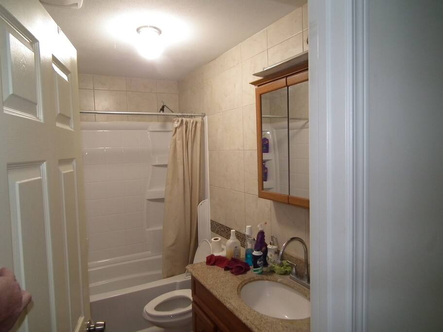 Guest Bathroom