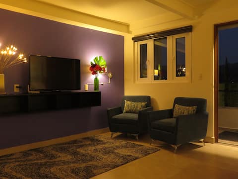 Successful Airbnb property: Terra Vista Vacation Home Apt #1 in Guanajuato