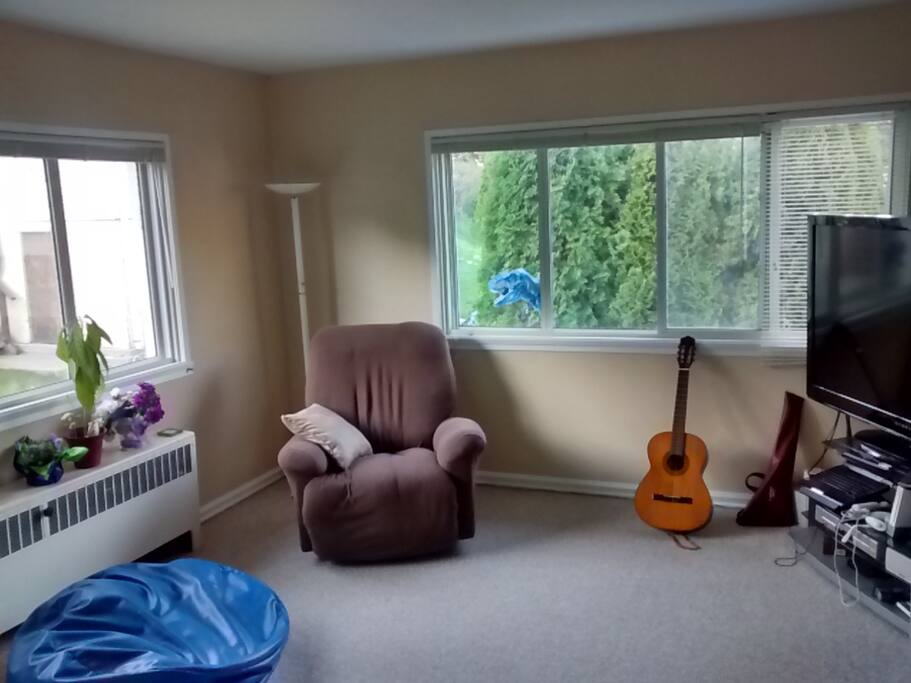 Living Room (60" LCD )